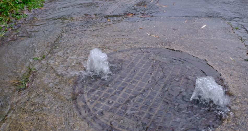 How to Spot a Blocked Drain